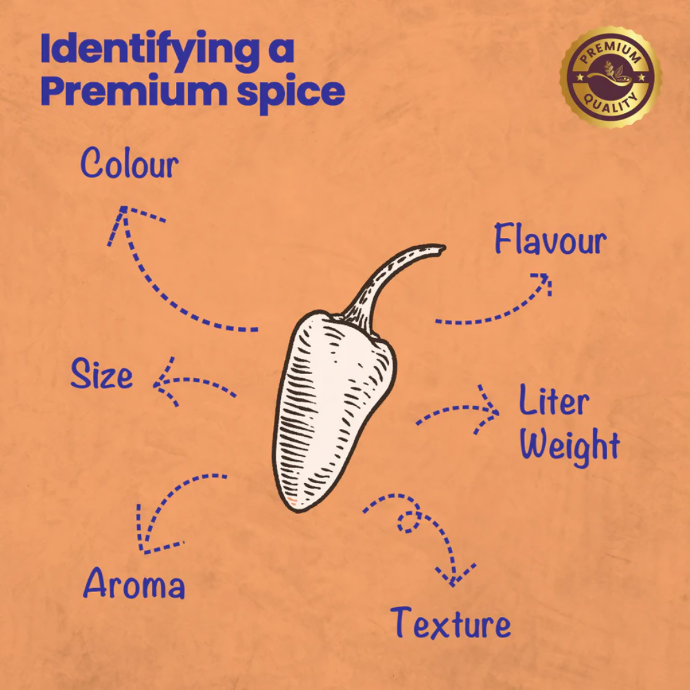 https://cdn.shopify.com/s/files/1/1857/6931/files/VvuWE8At8Z.png?v=1774947399