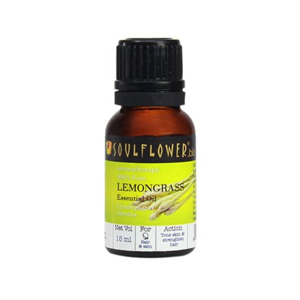 https://cdn.shopify.com/s/files/1/1857/6931/products/VwJJi9Judq.jpg?v=1614911244