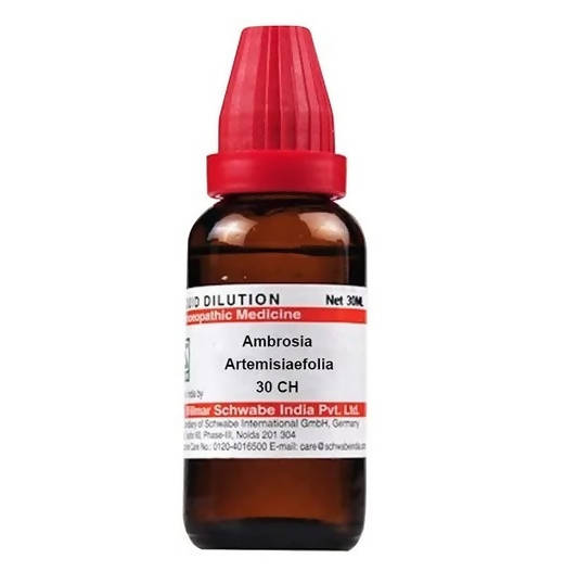 https://cdn.shopify.com/s/files/1/1857/6931/products/VyPLYzo8O2.jpg?v=1641366505
