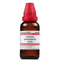 https://cdn.shopify.com/s/files/1/1857/6931/products/VyPLYzo8O2.jpg?v=1641366505