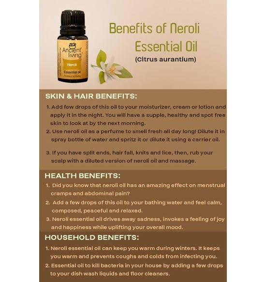 https://cdn.shopify.com/s/files/1/1857/6931/files/VzU7S7J6Em-401247.jpg?v=1736147456