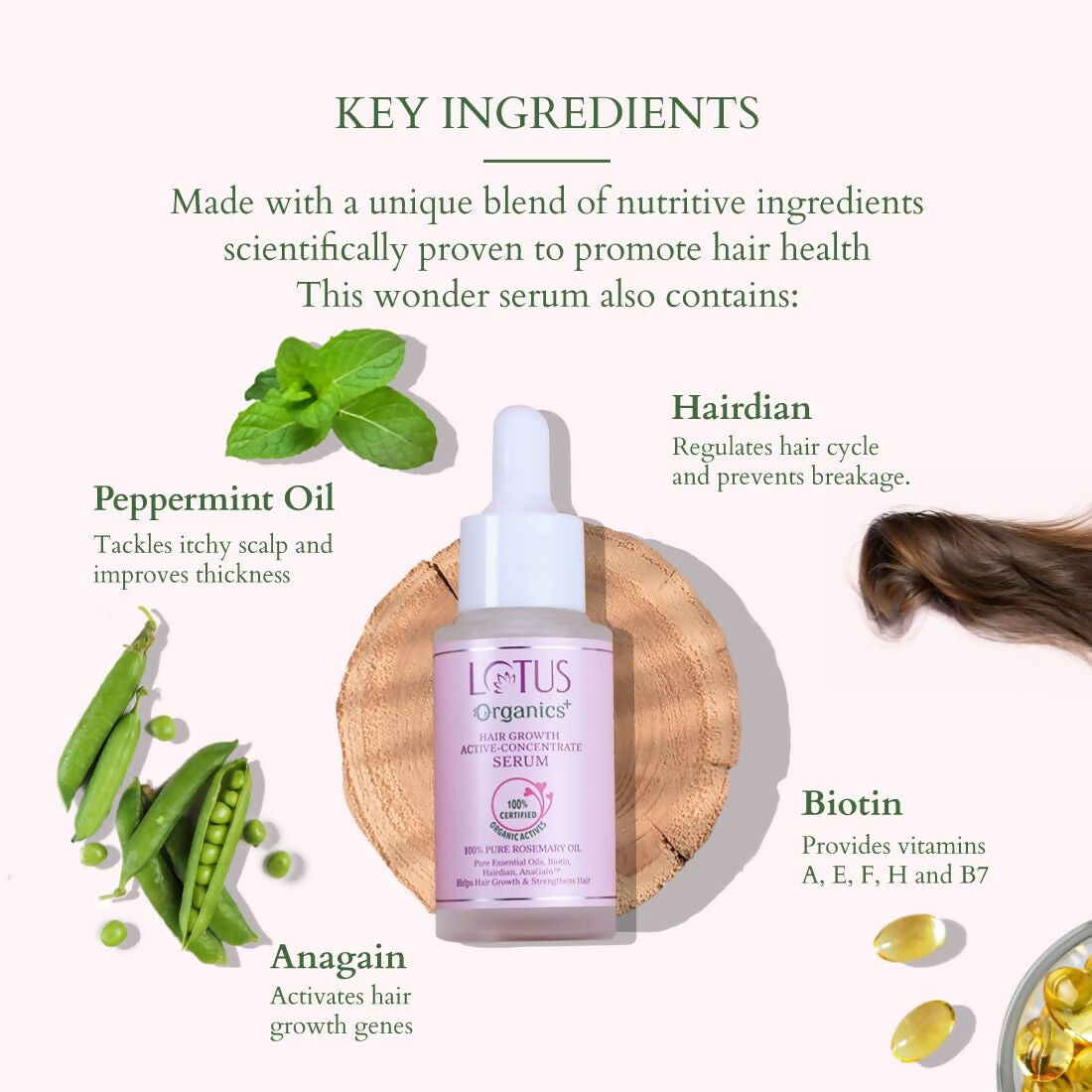 https://cdn.shopify.com/s/files/1/1857/6931/files/VzUxNZqV7C.jpg?v=1722230761