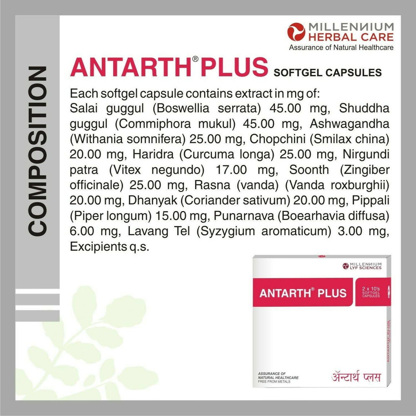 https://cdn.shopify.com/s/files/1/1857/6931/products/W0hGFptCsb.jpg?v=1675833925