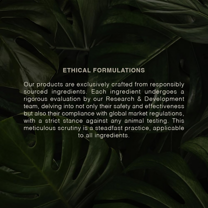 https://cdn.shopify.com/s/files/1/1857/6931/files/W2zmOKsI5o.png?v=1771498711