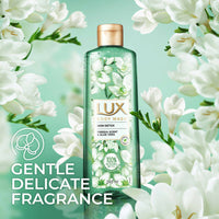 https://cdn.shopify.com/s/files/1/1857/6931/products/W9MFeJO7eC.jpg?v=1698228543