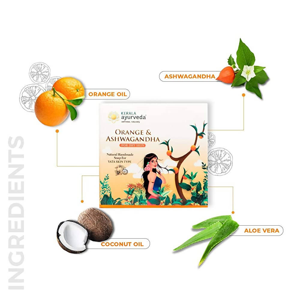 https://cdn.shopify.com/s/files/1/1857/6931/products/W9MrRIBIJx.jpg?v=1638179812