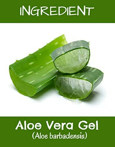 https://cdn.shopify.com/s/files/1/1857/6931/products/WADAJJd4Z1.jpg?v=1664273557