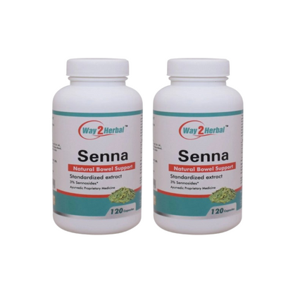 https://cdn.shopify.com/s/files/1/1857/6931/files/WAY2H-GENIE-36309-02_ee0995e2-3fb1-4100-8973-774c6f74450e.png?v=1756822537