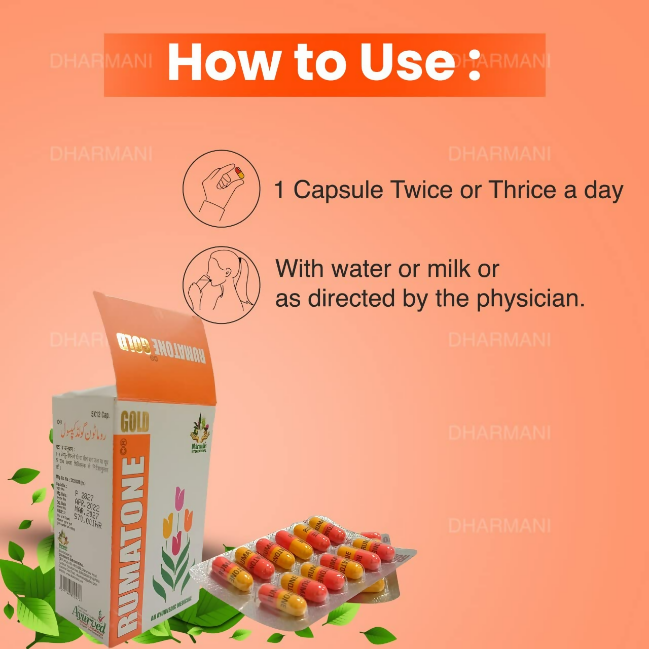 https://cdn.shopify.com/s/files/1/1857/6931/files/WCbRh4DVbH.png?v=1729073774