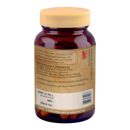 https://cdn.shopify.com/s/files/1/1857/6931/products/WKJDxOBmTs.jpg?v=1690546786