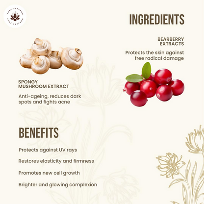 Image 2 of Mitchell USA Clear Balance Saargol Day Cream - Hydrating And Moisturizing Daily Facial Cream