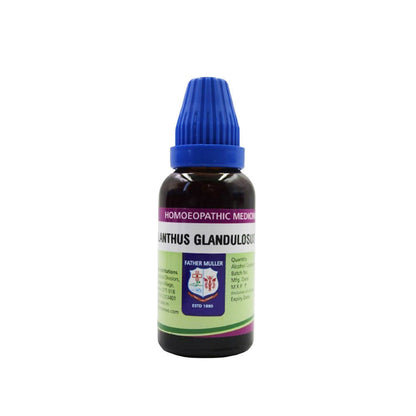 https://cdn.shopify.com/s/files/1/1857/6931/files/WOqb6zBXhN.jpg?v=1718104288