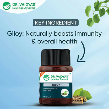 https://cdn.shopify.com/s/files/1/1857/6931/products/WQCPzc2Fj1.jpg?v=1670491082