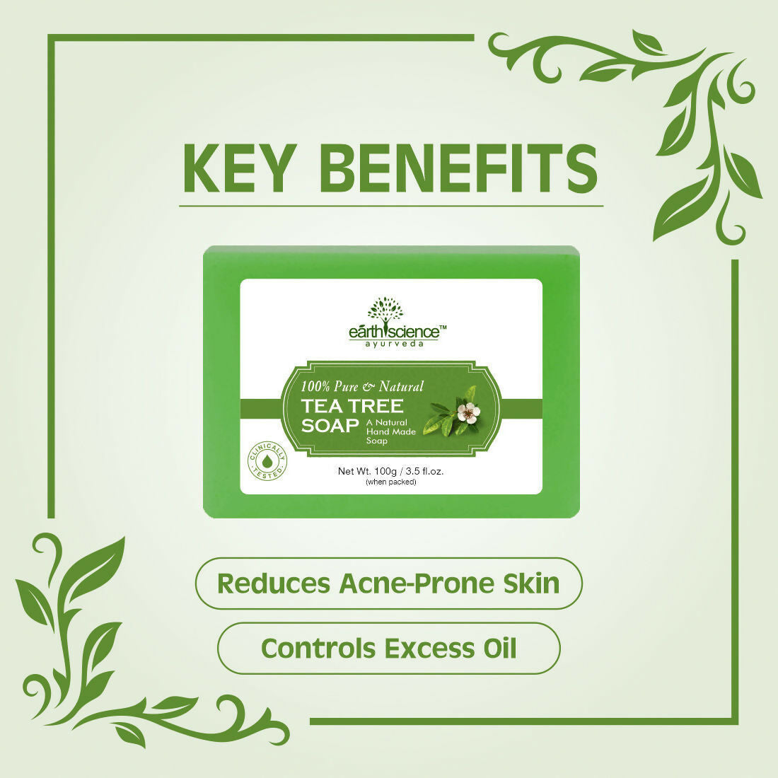 https://cdn.shopify.com/s/files/1/1857/6931/files/WRbGjo2Ymd.jpg?v=1732024325