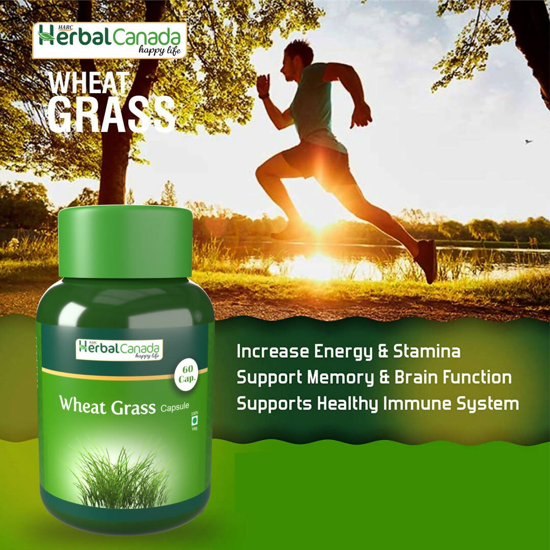 https://cdn.shopify.com/s/files/1/1857/6931/products/WSzHrh8136.jpg?v=1702465866