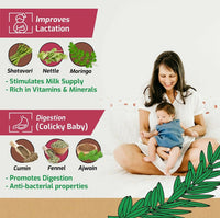 https://cdn.shopify.com/s/files/1/1857/6931/files/WVAoNoc2MZ.jpg?v=1715434506