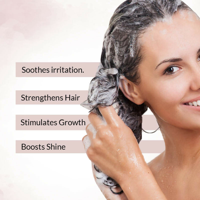 https://cdn.shopify.com/s/files/1/1857/6931/files/WWJHg80618.jpg?v=1749191833