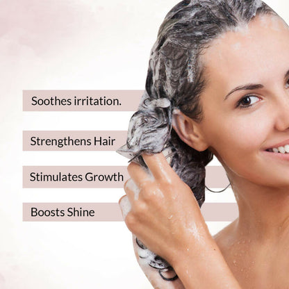 https://cdn.shopify.com/s/files/1/1857/6931/files/WWJHg80618.jpg?v=1749191833