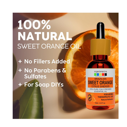 https://cdn.shopify.com/s/files/1/1857/6931/files/WXBjHDCqjH.png?v=1723113725