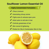 https://cdn.shopify.com/s/files/1/1857/6931/products/WY1t5fIbs3.jpg?v=1614911233