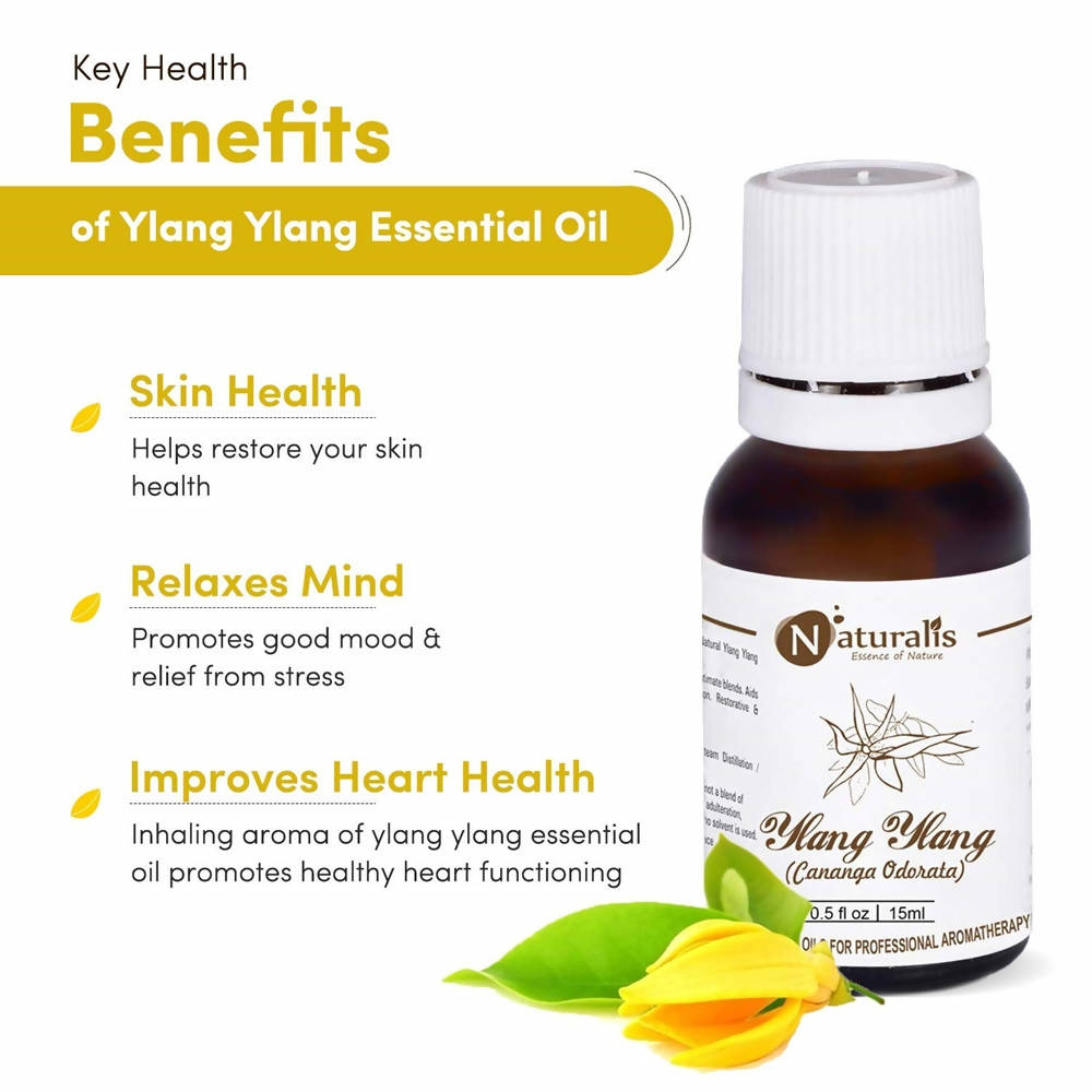 https://cdn.shopify.com/s/files/1/1857/6931/products/WYQl8qhUiz.jpg?v=1623483989