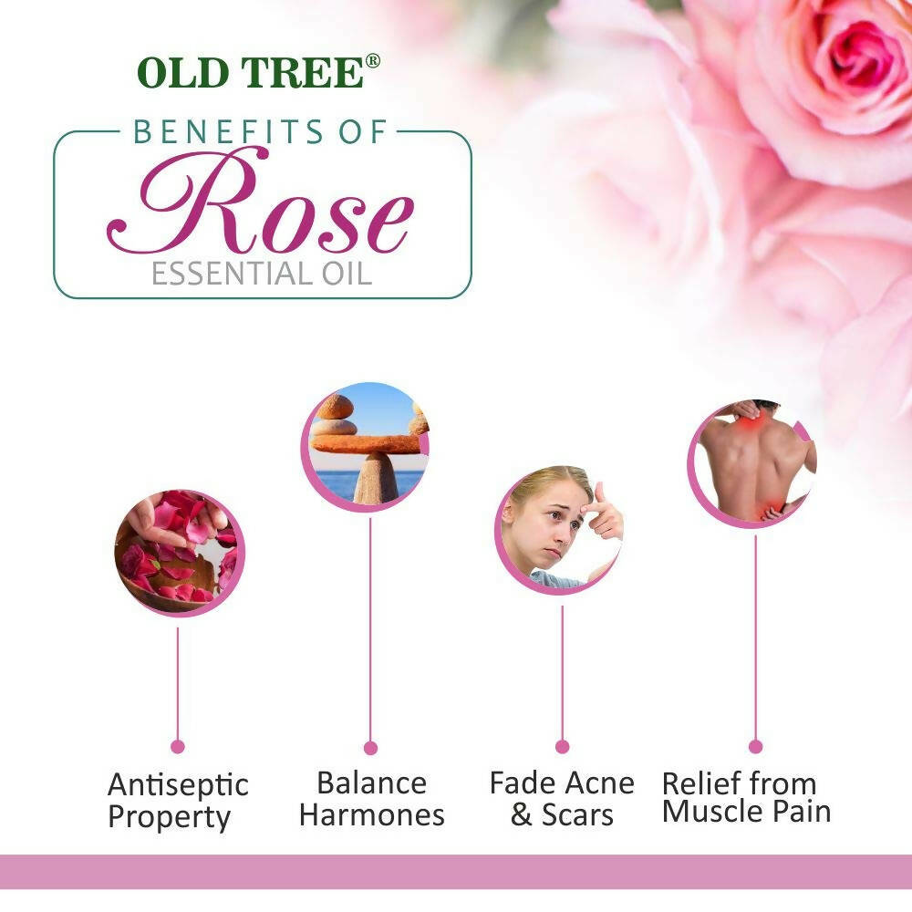 https://cdn.shopify.com/s/files/1/1857/6931/products/WbJ9jg82IB.jpg?v=1683537589