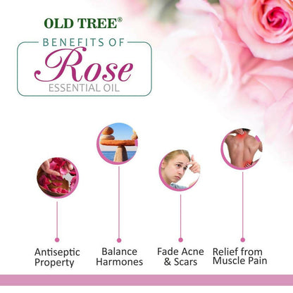 https://cdn.shopify.com/s/files/1/1857/6931/products/WbJ9jg82IB.jpg?v=1683537589