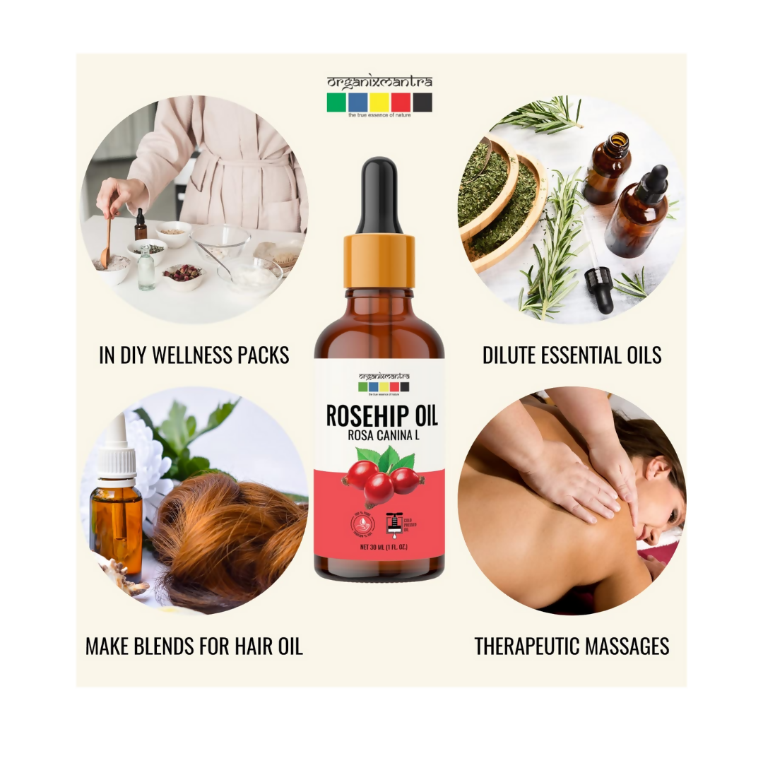 https://cdn.shopify.com/s/files/1/1857/6931/files/WbegFlxYwt.png?v=1723201968