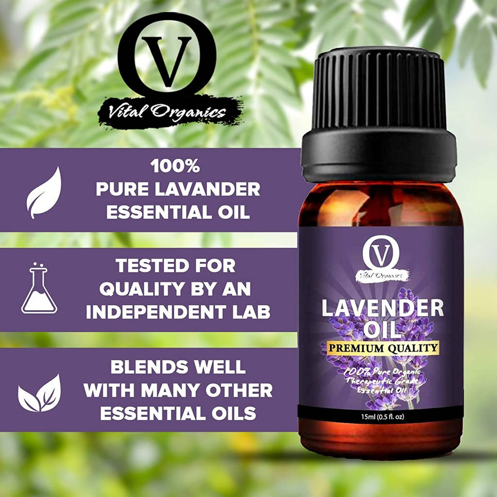 https://cdn.shopify.com/s/files/1/1857/6931/products/WcvFfSjLhj.jpg?v=1643017023