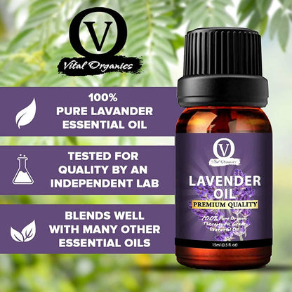 https://cdn.shopify.com/s/files/1/1857/6931/products/WcvFfSjLhj.jpg?v=1643017023