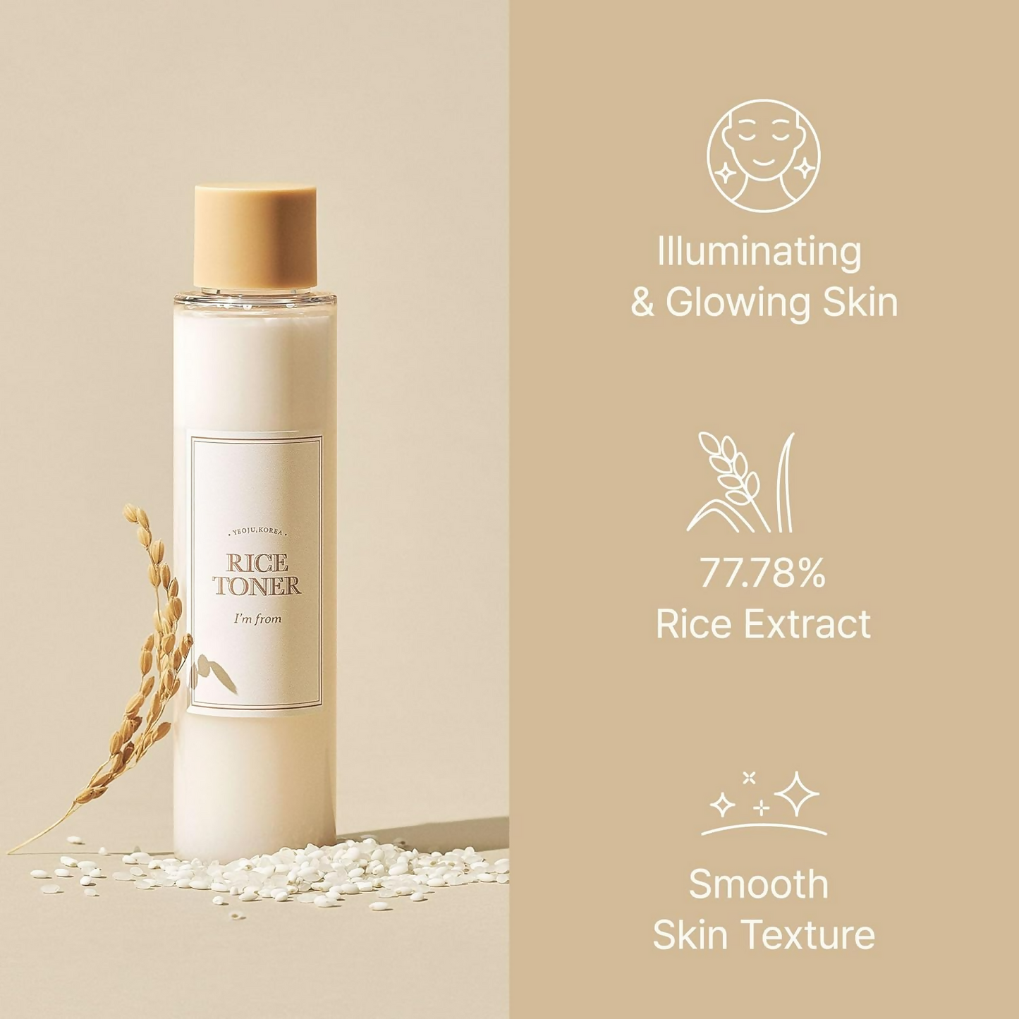 https://cdn.shopify.com/s/files/1/1857/6931/files/Wcx0tJzJV6.png?v=1731065374