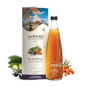 Image 1 of 300 ml for the product Wellwith DiaboWin (Diawell) Karela & Jamun Juice with Seabuckthorn