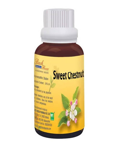 https://cdn.shopify.com/s/files/1/1857/6931/products/Wgq2aIaw9f.jpg?v=1762313590