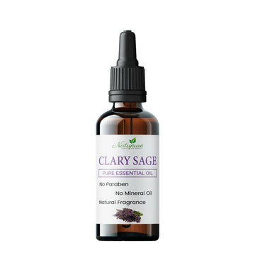 https://cdn.shopify.com/s/files/1/1857/6931/products/WgqqDIx4GW.jpg?v=1762382445