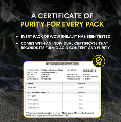 https://cdn.shopify.com/s/files/1/1857/6931/products/WhRAMdFtBu.jpg?v=1693815708