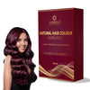 https://cdn.shopify.com/s/files/1/1857/6931/files/WhatsAppImage2025-01-22at14.51.24.jpg?v=1776952447