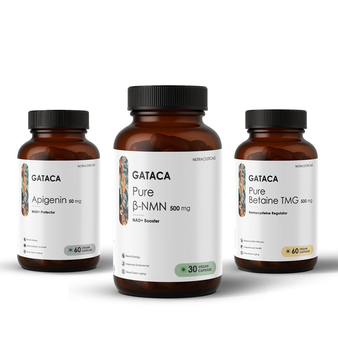 https://cdn.shopify.com/s/files/1/1857/6931/files/WhatsAppImage2025-05-28at22.46.32_1.jpg?v=1761304735