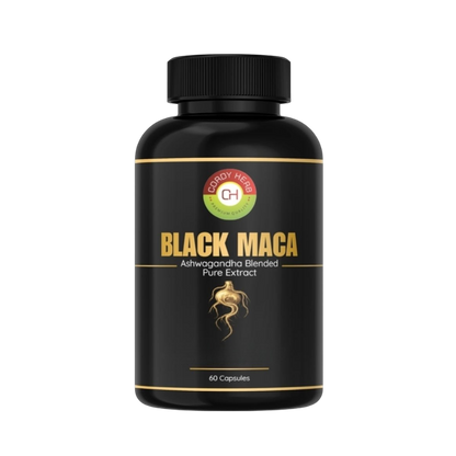 https://cdn.shopify.com/s/files/1/1857/6931/files/WhatsApp_Image_2026-03-06_at_15.02.18_1_1_1.png?v=1776843351