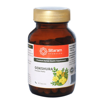 https://cdn.shopify.com/s/files/1/1857/6931/products/Wm9uTQcTTl.jpg?v=1640776088