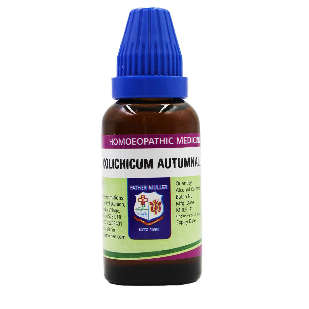 https://cdn.shopify.com/s/files/1/1857/6931/files/WmPgCVxsgu.jpg?v=1717242095