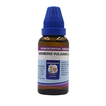 https://cdn.shopify.com/s/files/1/1857/6931/files/WnUmKTiGGF.jpg?v=1719035835