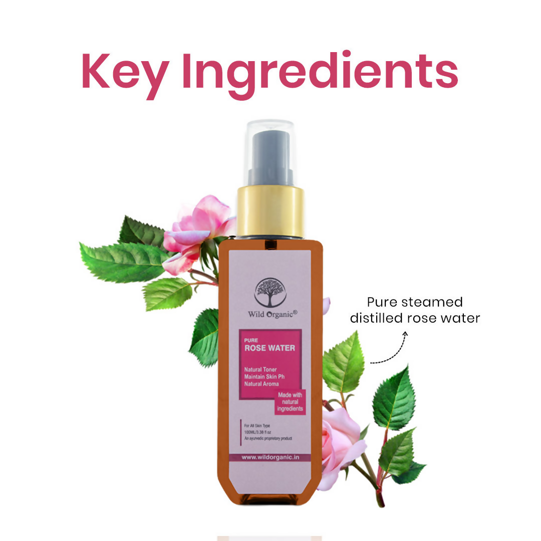 https://cdn.shopify.com/s/files/1/1857/6931/files/WvbJerF12L.png?v=1729850619