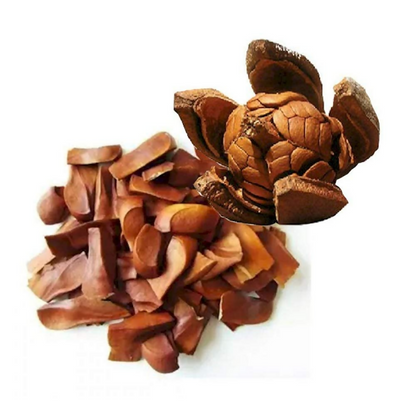 https://cdn.shopify.com/s/files/1/1857/6931/files/WviSnAIhn5.png?v=1751266909