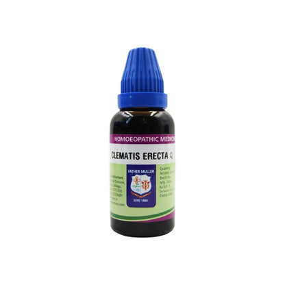 https://cdn.shopify.com/s/files/1/1857/6931/files/WvltsmNRYg.jpg?v=1717241995