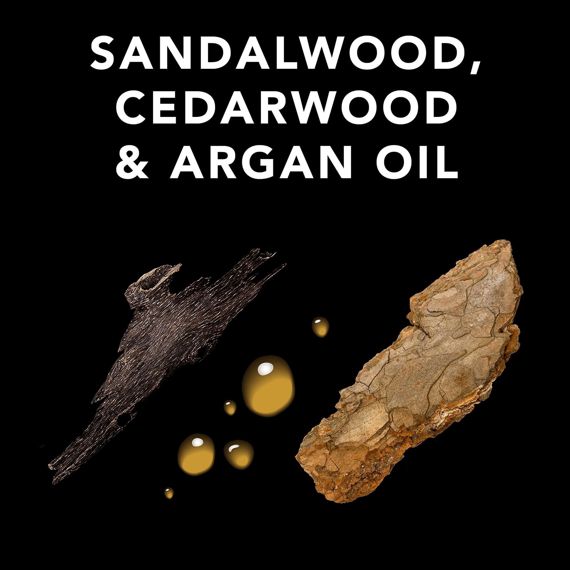 https://cdn.shopify.com/s/files/1/1857/6931/files/Ww18Sqwtqd.jpg?v=1718604426