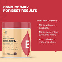 https://cdn.shopify.com/s/files/1/1857/6931/files/WwuPsT6BVl.jpg?v=1728473511