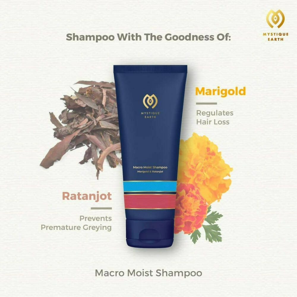 https://cdn.shopify.com/s/files/1/1857/6931/products/WxvAQIO4KM.jpg?v=1704284345