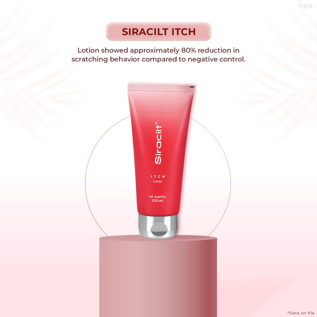 https://cdn.shopify.com/s/files/1/1857/6931/files/WzrVahPstB.png?v=1735013529