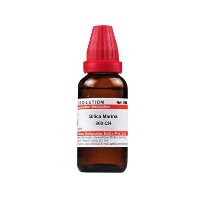 https://cdn.shopify.com/s/files/1/1857/6931/products/WztlzblRGy.jpg?v=1640865819