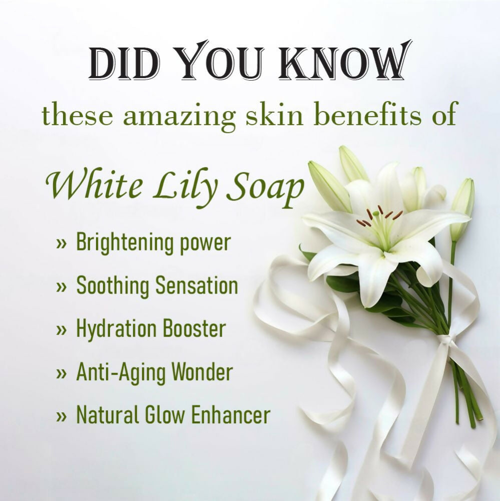 https://cdn.shopify.com/s/files/1/1857/6931/files/X5Q6Fs3wTW.jpg?v=1715003109